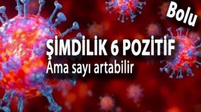 BOLU'DA ANİ VİRÜS ARTIŞI DİKKAT ÇEKTİ